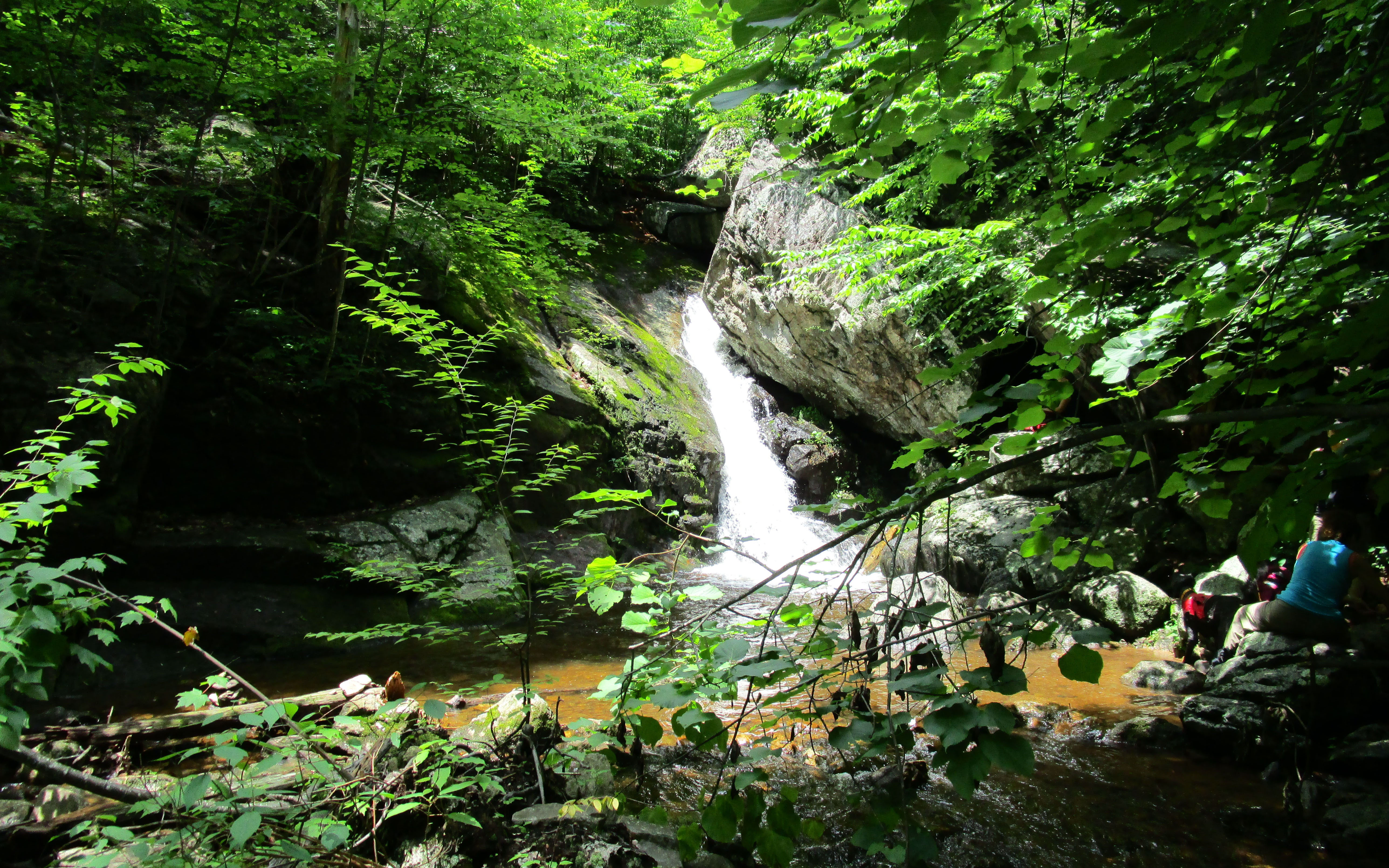 Hiking Trails Near Me With Waterfalls Va | ReGreen Springfield